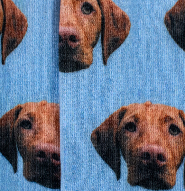 Custom Pet Socks - Image 7