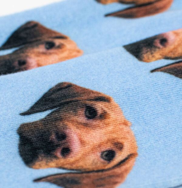 Custom Pet Socks - Image 9