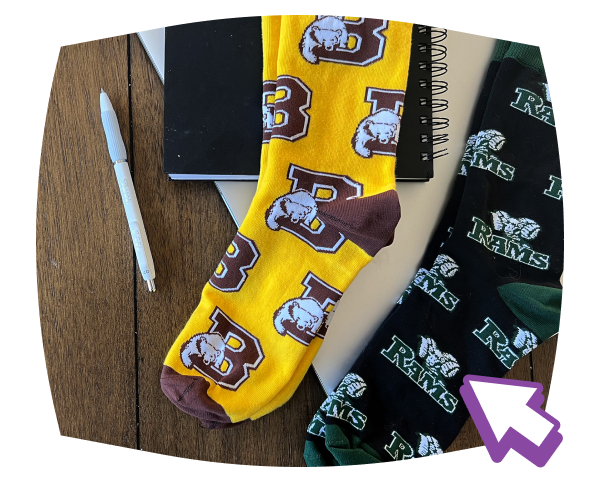 Collegiate Socks, College Mascot Socks & NCAA Socks