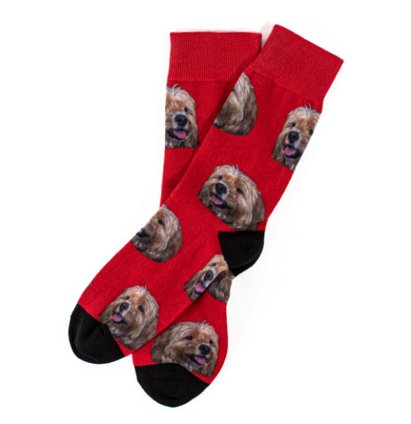 Custom Dog Socks - Image 3