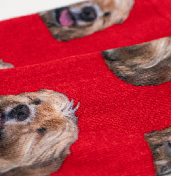 Custom Dog Socks - Image 4