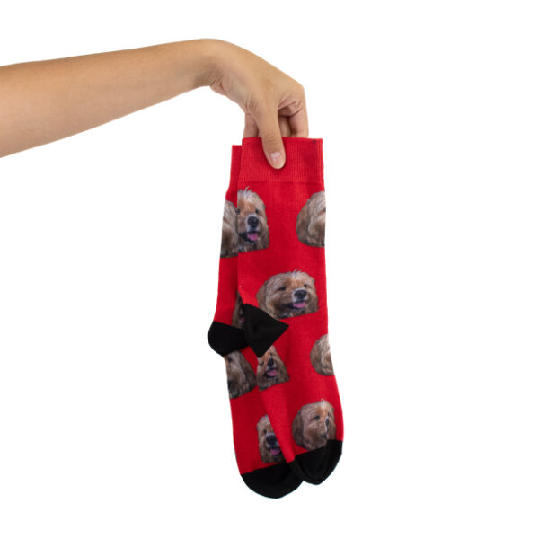 Custom Dog Socks - Image 5